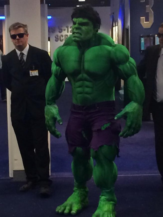 THE HULK